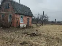 Дачный участок с домиком, Гомельская обл, район, д. Дудорево, с/т Мечта, фотография 5