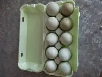 Яйца домашние с доставкой, фотография 4