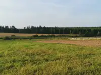 Продажа дома в деревне с хоз. Постройками и большим огородом. Рядом озеро с рыбой и лес с ягодами и грибами., фотография 7