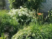 Продается дача, фотография 6