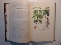 Дикорастущие лекарственные растения СССР..И. Гром, Москва, Медицина, 1976 год, 288 страниц, 153 рисунка., фотография 10