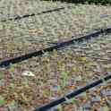 Вермикулит вспученный, фотография 3