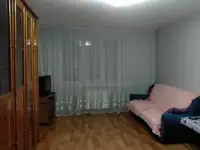 Сдается квартира посуточно в г. Мяделе, фотография 2
