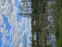 Продажа усадьбы в деревне Волова Гора, фотография 4