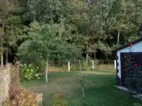 Дача, 45, садовое товарищество Автозаводец, Осиповичский район, Могилёвская область, фотография 8