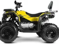 Квадроцикл Progasi RaceJumper 200 (к-т з/ч), фотография 11