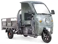 Грузовой электротрицикл rutrike d4 кабина 1800 60v1200w