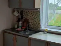 Сдам дом в Дисне. Документы для командировок, фотография 3