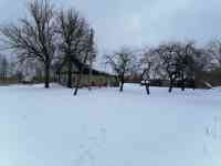 Участок 25 соток с домом, фотография 2