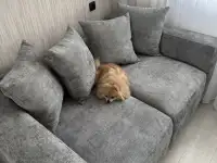 Диван, фотография 2