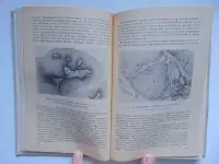 Профилактика злокачественных опухолей, фотография 6