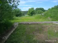 земельный участок, Витебская область, район, Азинский с/с, д. Владычино., фотография 4