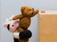 Помощник онлайн, фотография 2