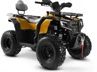 Квадроцикл Progasi RaceJumper 200 (к-т з/ч), фотография 7