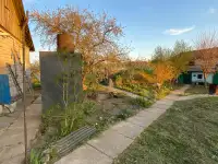 Продаётся дом, д. Дворец, Гомельская обл.,Рогачевский р-н, фотография 12