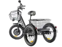 Трицикл green city e-alfa trike, фотография 2