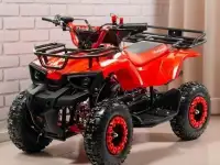 Квадроцикл детский Motoland Scorpion 50 E (к-т з/ч), фотография 4