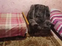 Частный дом с удобствами посуточно, Ленинская 3, фотография 5