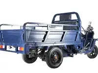 Грузовой электротрицикл rutrike d4 1800 60v1200w, фотография 10