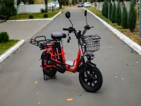Электровелосипед AVM E-ALFA Fat, фотография 2