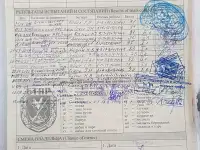 Продаются щенки немецкого ягдтерьера, фотография 5