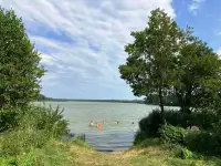 Детский лагерь в 20 км. от Гродно, 1,4 га, гродно, фотография 3