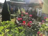 Продажа дома в Галево Пинский район, фотография 12