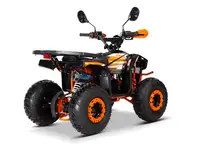 Квадроцикл yacota sirius 110, фотография 7