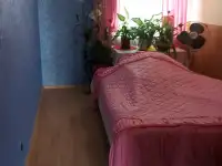 4-х комнатная квартира-студия, фотография 2