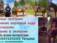 Конные прогулки