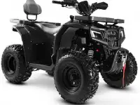 Квадроцикл Progasi RaceJumper 200 (к-т з/ч), фотография 12