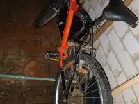 Велосипед 24 Boxter eco 2 super bicke original горный, фотография 8