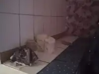 Дом в д.Седич, фотография 4