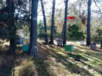 Готовое фермерское хозяйство. Хозпостройка, 4 га земли, техника, пасека, водоем., фотография 9
