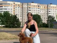 Хендлер в Минске, фотография 9