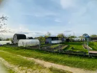 Продам участок в с/т Автозаводец, фотография 2
