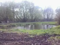 Сдам домик в нескольких км от города Лунинец, Лахва, фотография 2