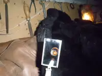 Продаю поворотное зеркало на длинной ручке с подсветкой, фотография 4