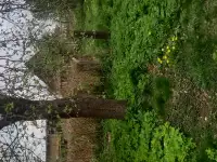 Продам дом с учвстком, Срочно!Город Свислочь, Советская28, фотография 5