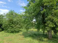 Участок-дача, Полевая, фотография 8