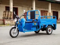 Грузовой электротрицикл AVM Cargo 1500, фотография 3
