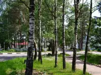 Продам или обменяю квартиру в курортном поселке Боровка на Минск (пригород), Брест, Гродно,Молодечно, Россию, фотография 2
