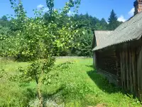 Продажа дома, Копцевичи, ул.Юрия Гагарина, 6., фотография 12