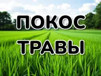 Покос травы триммером