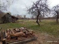 Дрова даром отдам.
