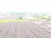 Продам участок с Домиком, Черемашня, фотография 4
