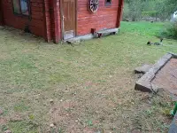 Продам дачу товарищество Водоканал, сразу за Коробчицами, фотография 3