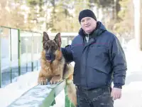 Щенки Немецкой овчарки, фотография 9