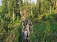 Дачный участок, Петушки Новики