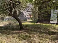 Лагуна в реки Березина, Свислочь ул. Березинская 3, фотография 2